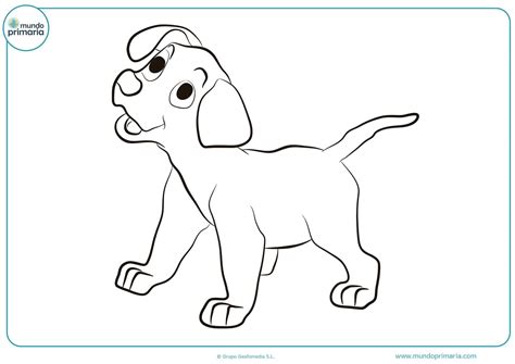 Imagenes De Perritos Para Dibujar Faciles : 🐶Dibujos de Perros Fácil