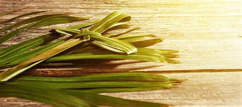 Download palm sunday stock photos. What is Palm Sunday? | The United Methodist Church