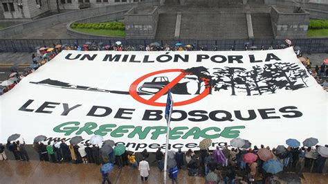 Greenpeace Argentina Separó A Su Director Por La Denuncia De Acoso Sexual Y Laboral Infobae
