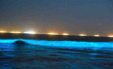 Orange County Red Tide Turns Bioluminescent Waves Glowing Blue