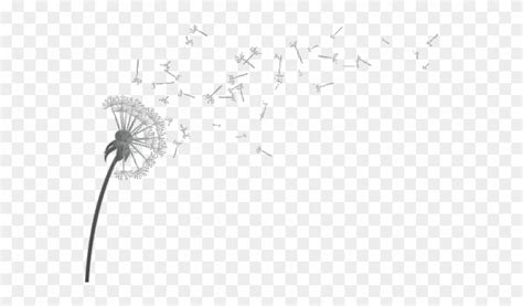 Dandelion Wish Clipart Collection Cliparts World 2019