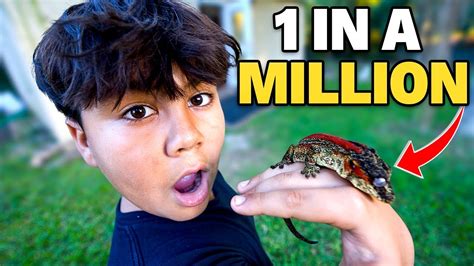 The Rarest Reptile Collection In The World Youtube