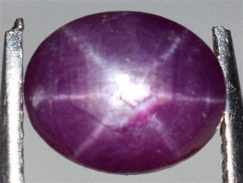 Purple Sapphire Star 7x8 Mm Vibrant Purplish Star Sapphire Etsy