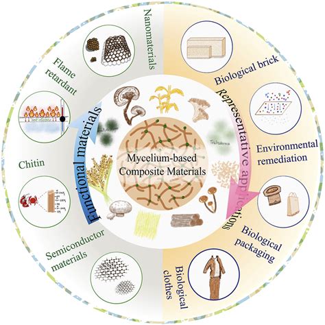 Comprehensive Overview Of Mycelium Based Composites Composite