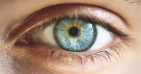 Central Heterochromia Definition Causes And Types