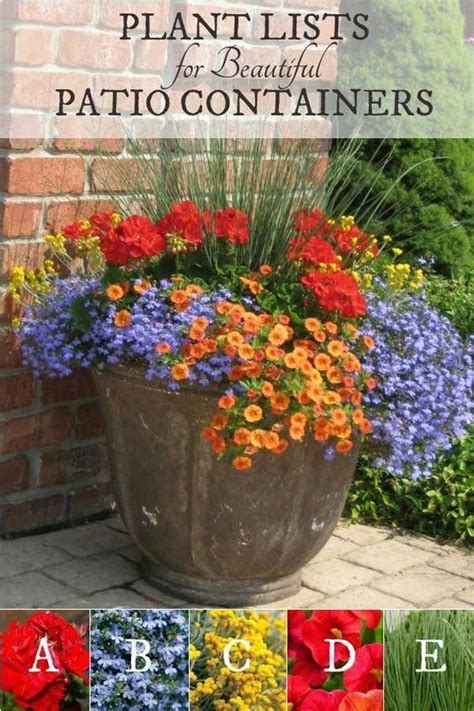 Plant Lists For Beautiful Patio Containers Image By Proven Winners