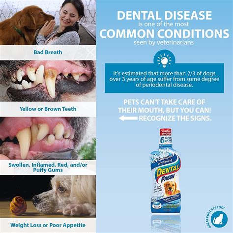 Dental Fresh Advanced Whitening Water Additive For Dogs Dog Teeth