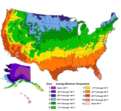 Zone Map Hardiness Guide Growers Outlet Charlotte Nc