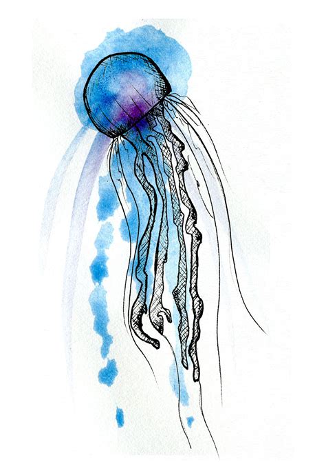 Watercolour Jellyfish By Cat Madeira Dessin Couleur Dessin Posca