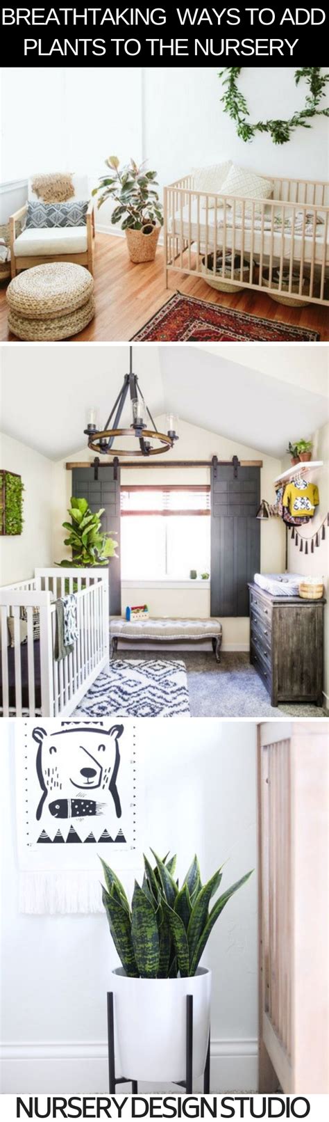 Previous set of related ideas. HOUSE PLANTS FOR BABY NURSERY: BEST AIR PURIFYING PLANTS ...