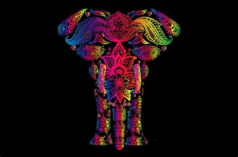 Colorful Elephant Wallpapers Top Free Colorful Elephant Backgrounds