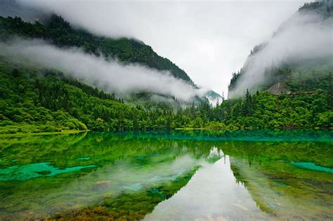 Hd Wallpaper Jiuzhaigou Nature Reserve China Lake Clear Water Trees