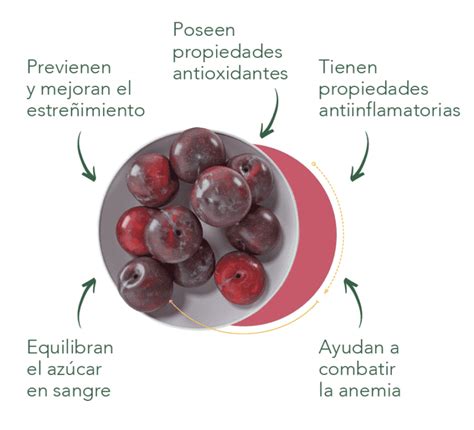 Ciruelas Para El Estreñimiento 5 Beneficios Vilardell Digest