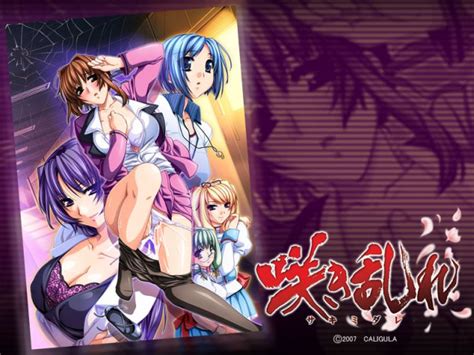 Sakimidare By Sumeragi Kohaku Read Online Hentai Gamecg Hitomi