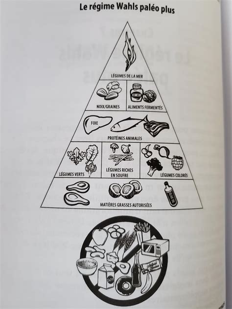 Quels aliments manger pour suivre le régime Wahls Paléo plus