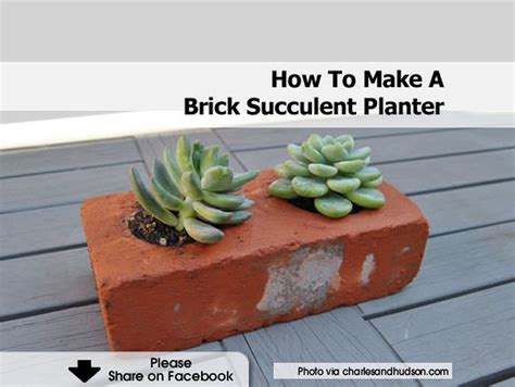How To Make A Brick Succulent Planter