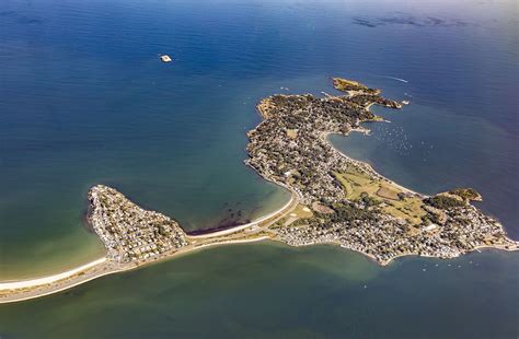 Does Nahant Beach Allow Dogs