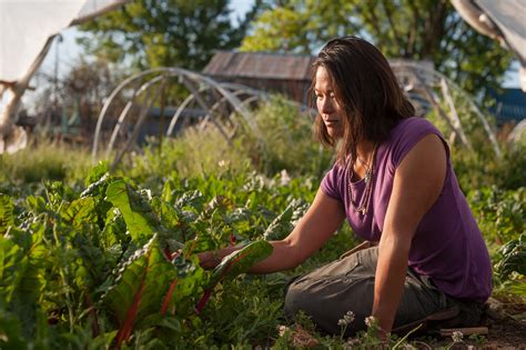 vegetable-gardening « OSU Extension Service Metro-area Master Gardener