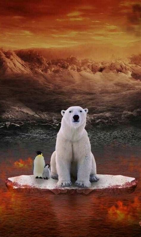 Polar Bear And Penguins Bear Pictures Funny Animal Pictures Funny