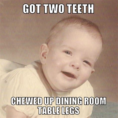 Memes are used to depicts the everyday life situations of the people. The Chronicles of Cardigan: 11 Unexpected Ways Living With ...