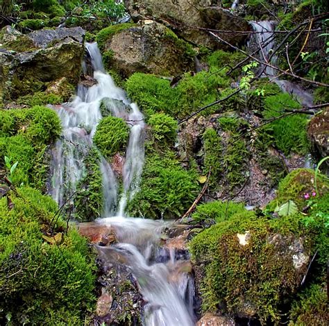 Treknature Waterfall Spring Photo
