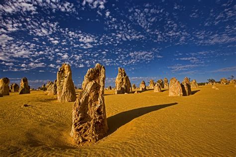 Mother Nature The Pinnacles Western Australia