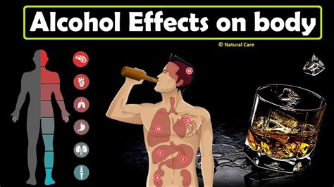 Alcohol Effects On Body Youtube
