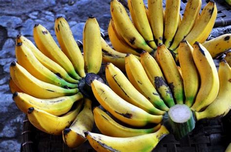 Cara membuat bolu pisang juga mudah dan sederhana, kebanyakan hanya butuh dikukus, cocok bagi anda yang belum memiliki oven di rumah. 6 Jenis Pisang Asli dari Indonesia, Sudah Tahu? - RoomMe