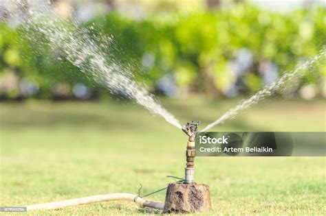 Sistem Penyiram Otomatis Modern Sederhana Di Rumput Di Taman Pulau Bali
