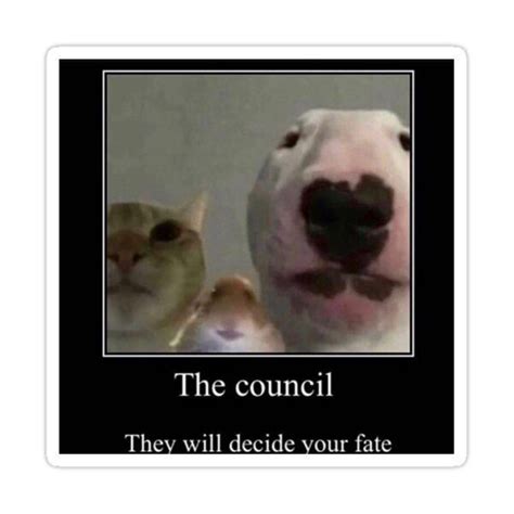 The Council Will Decide Your Fate Sticker By Hollias Funny Cat Memes