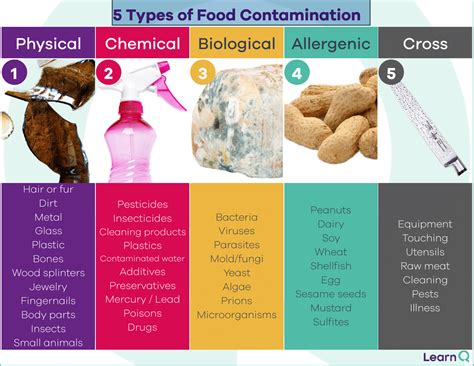 FREE 5 Types Of Food Contamination Poster Resource Learn Q