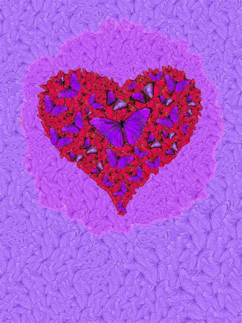 Butterfly Heart Photograph By Mgl Meiklejohn Graphics Licensing Fine