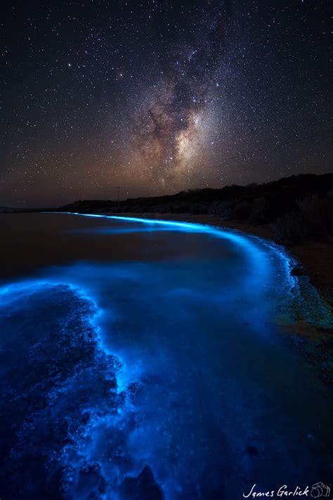 Voie Lactée Et Bioluminescence Dans Le Sud De Laustralie