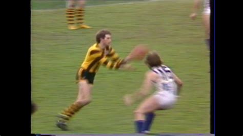 Hawthorn vs north melbourne is live and exclusive to fox sports. 1978 Round 15 Hawthorn vs North Melbourne - Princes Park ...
