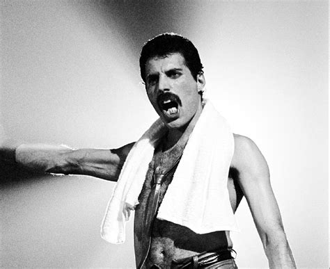 Queen Quiz Do You Know Lyrics To Freddie Mercurys Dont Stop Me Now