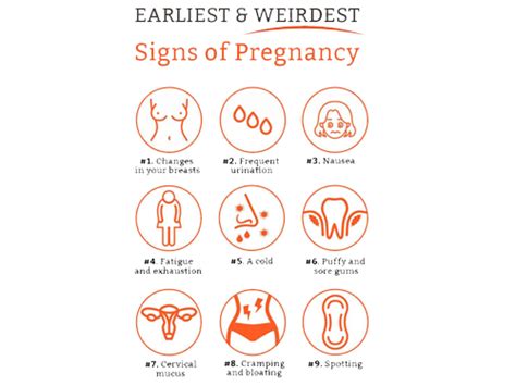 Early Signs Of Pregnancy