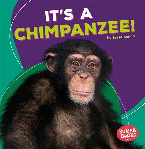 Its A Chimpanzee Bumba Books ― Rain Forest Animals Kenan Tessa