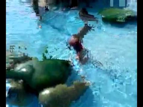 The best fiberglass swimming pools in the rockford, il region. Magic Waters - Rockford IL - YouTube