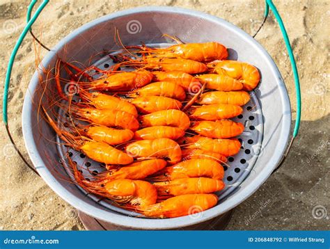 King Prawn Seafood Is Served Freshly Prepared On The Beach In Pattaya