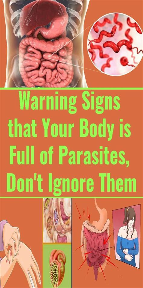 Warning Signs That You Have Parasites In Your Body And How To Destroy