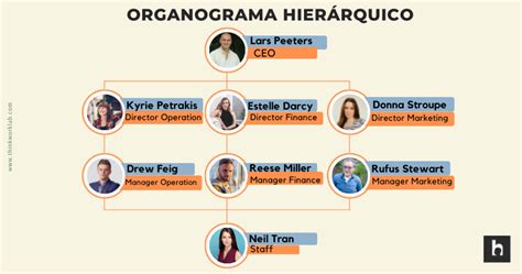 O Que Organograma Aprenda Como Fazer E Conhe A Os Tipos E Modelos