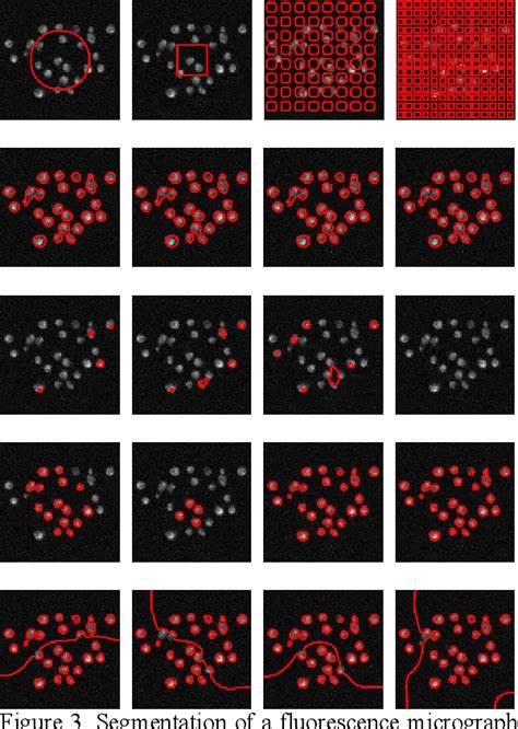 Figure 3 From Generalized Chan Vese Model For Image Segmentation With