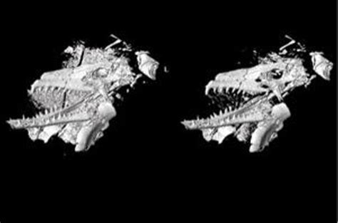 ct scan and 3d printing bring dinosaur fossil alive from rock