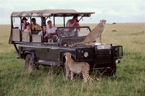 10 Days Kenya Safari Kenya Wildlife Safaris Focus East Africa Tours