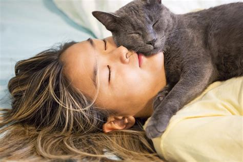 Why Do Cats Sleep On You 5 Reasons Explained