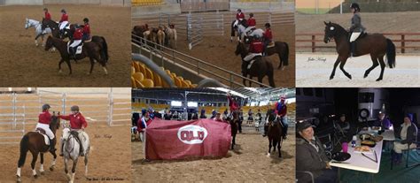 National Working Equitation Championships Equestrian Queensland