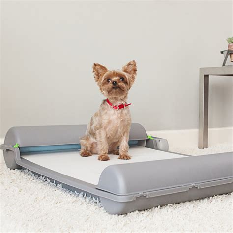 Brilliant Pad Self Cleaning Automatic Indoor Dog Potty Petagadget