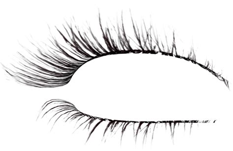 Eyelash extensions Brush Drawing - eyelash png download ...