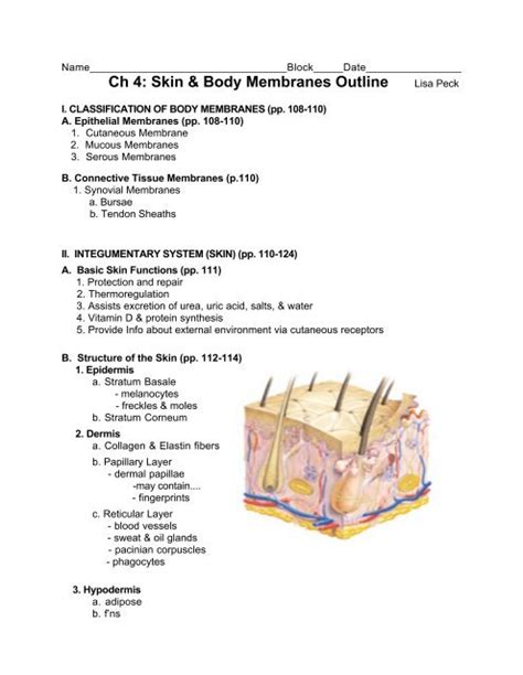 35 Skin And Body Membranes Chapter 4 Griegaurelia