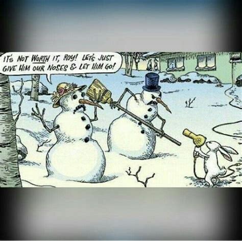 Winter Humor Funny Christmas Pictures Funny Christmas Cartoons